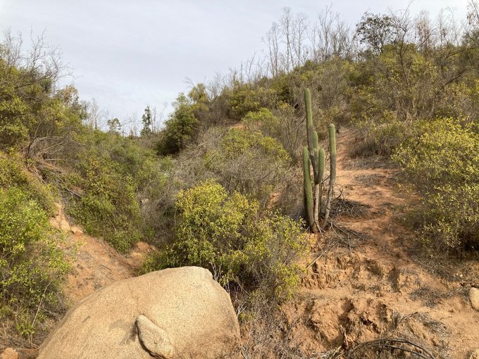 Parte posterior terreno