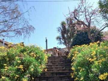 Imagen 13