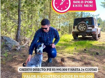 Venta / Parcela / Vichuquén