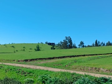 Venta / Parcela / Vichuquén