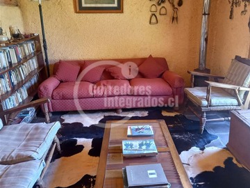 Imagen 21