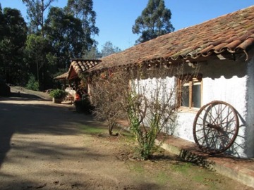 Imagen 6