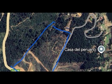 Imagen 5