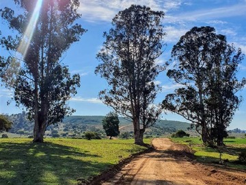 Venta / Parcela / Vichuquén