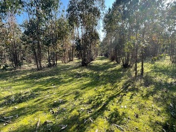 Venta / Parcela / Vichuquén