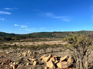 Venta / Parcela / Vichuquén