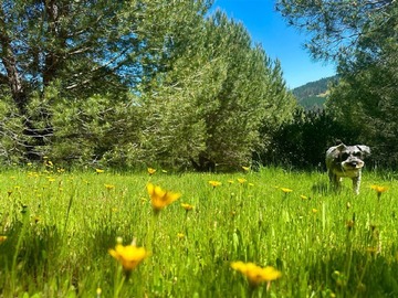 Venta / Parcela / Vichuquén