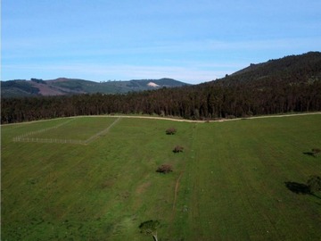 Venta / Parcela / Vichuquén