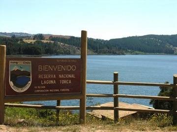 Imagen 18