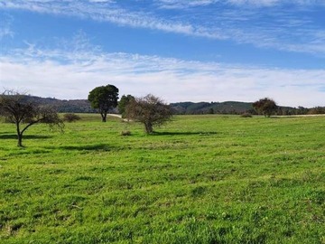 Imagen 20