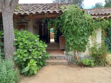 Imagen 8