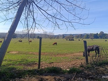 Venta / Parcela / Vichuquén