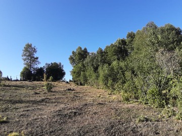Imagen 9