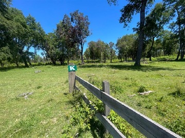 Imagen 18