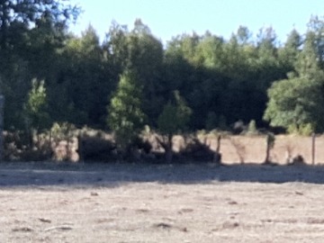 Imagen 6
