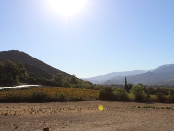 Imagen 2