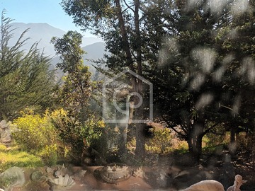 Imagen 6
