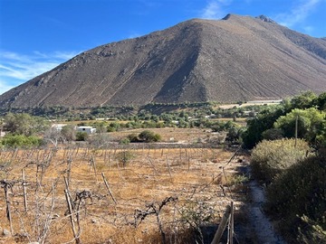 Imagen 8