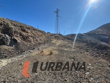 Imagen 11