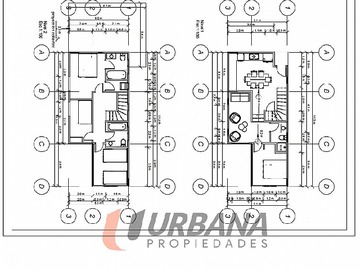 Imagen 19