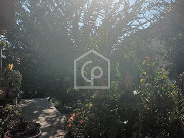 Imagen 8