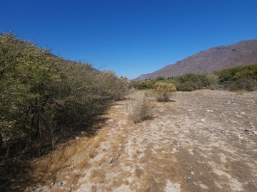 Imagen 8