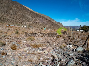 Imagen 6