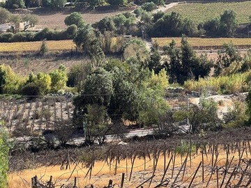 Imagen 6
