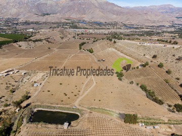 Venta / Parcela / Vicuña