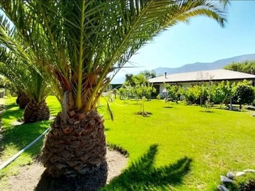 Venta / Parcela / Vicuña