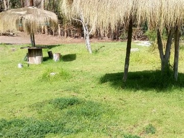 Imagen 7