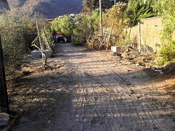 Imagen 20