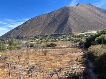 Imagen 9