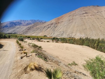 Venta / Parcela / Vicuña