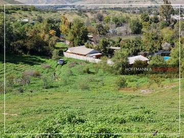 Imagen 13