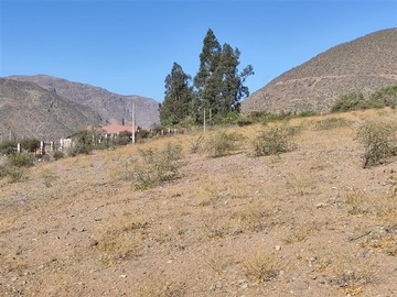Imagen 7