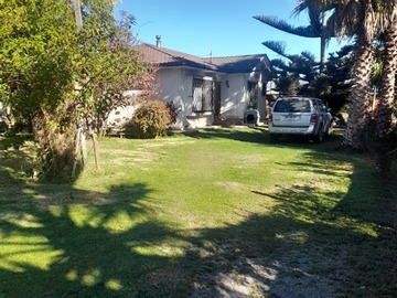 Imagen 11