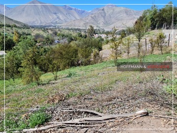 Imagen 4