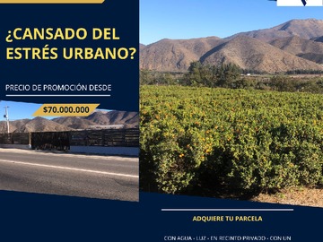 Venta / Parcela / Vicuña