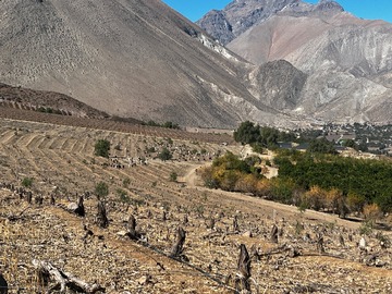 Venta / Parcela / Vicuña
