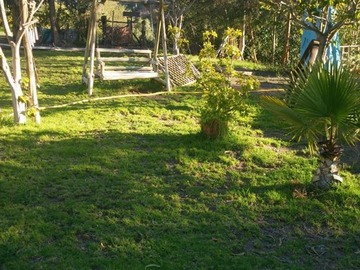 Imagen 6