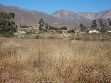 Imagen 5