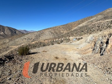 Imagen 6