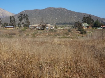 Imagen 7