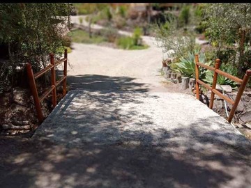 Imagen 5
