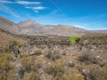 Venta / Parcela / Vicuña