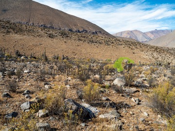 Imagen 8