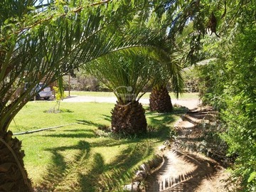Imagen 11