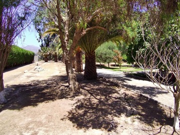 Imagen 5