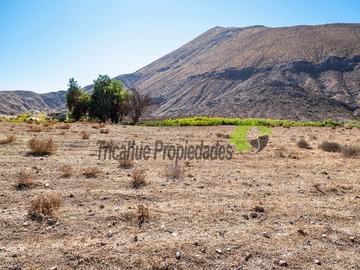 Imagen 12
